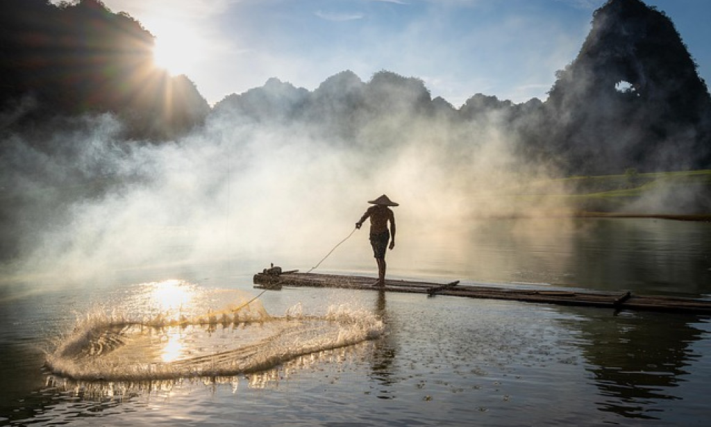 The Art of Balanced Living: Creating Harmony in Modern Life