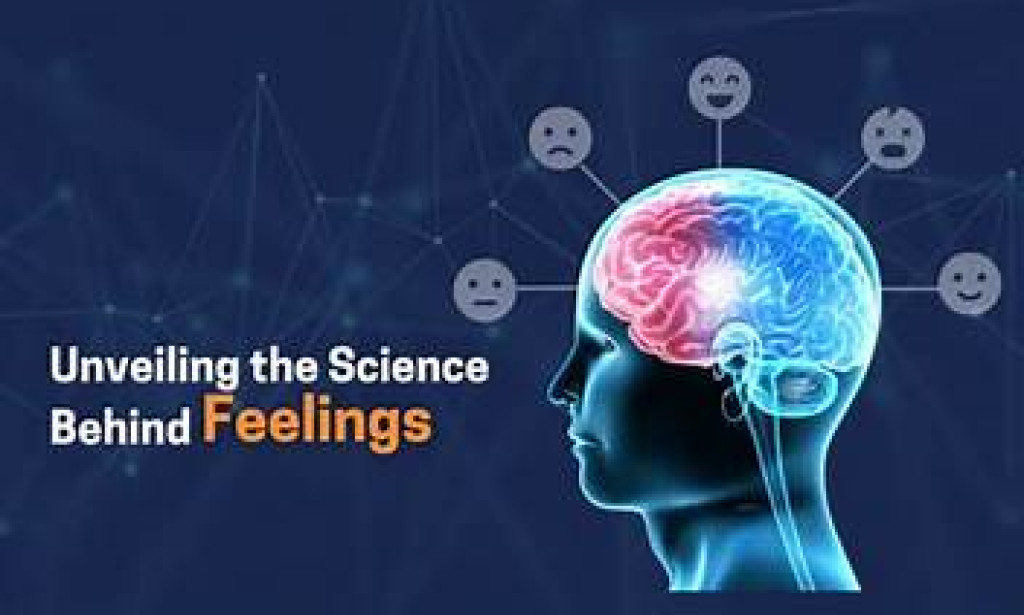 The Science Behind Human Emotions: Why We Feel What We Feel